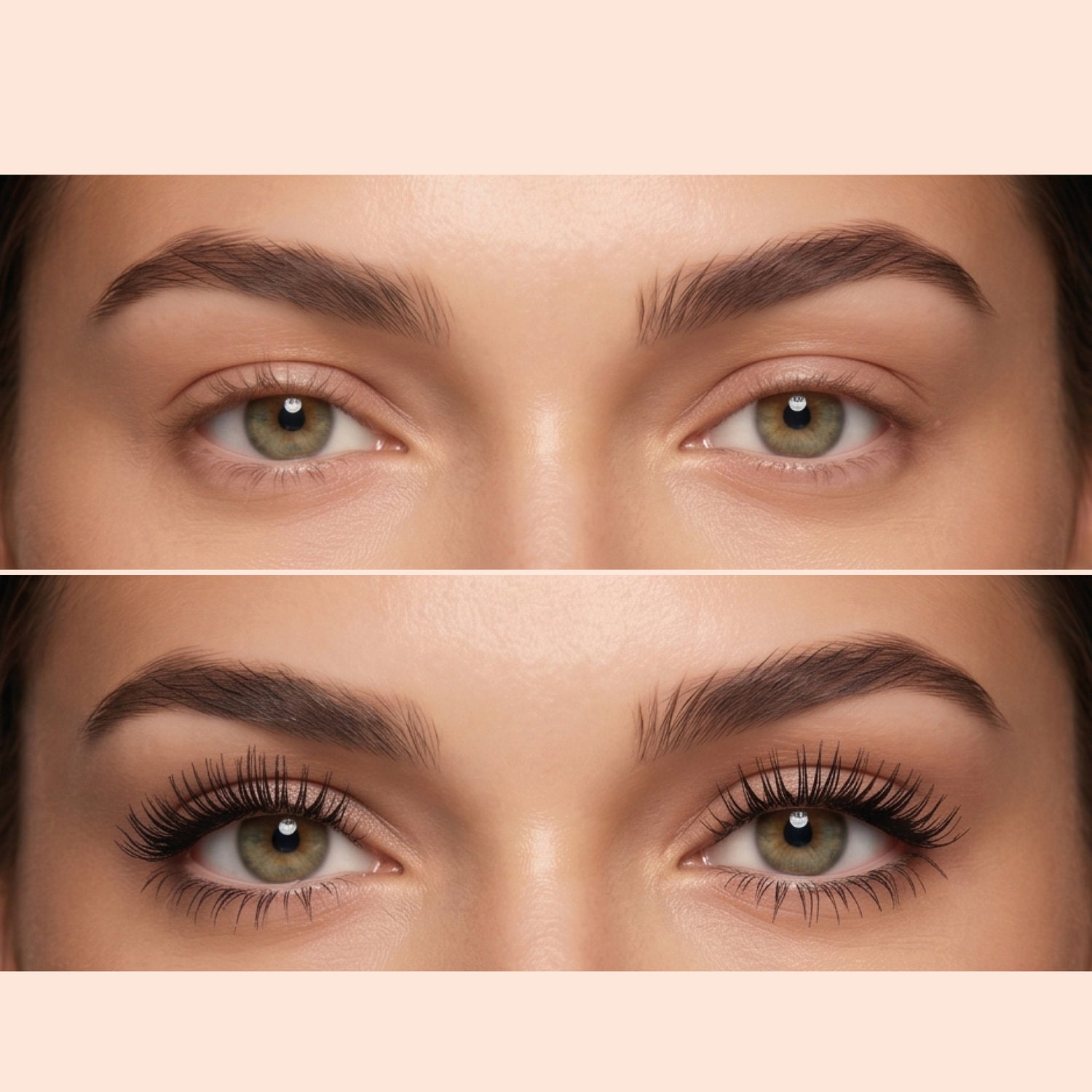 LASH TRIO