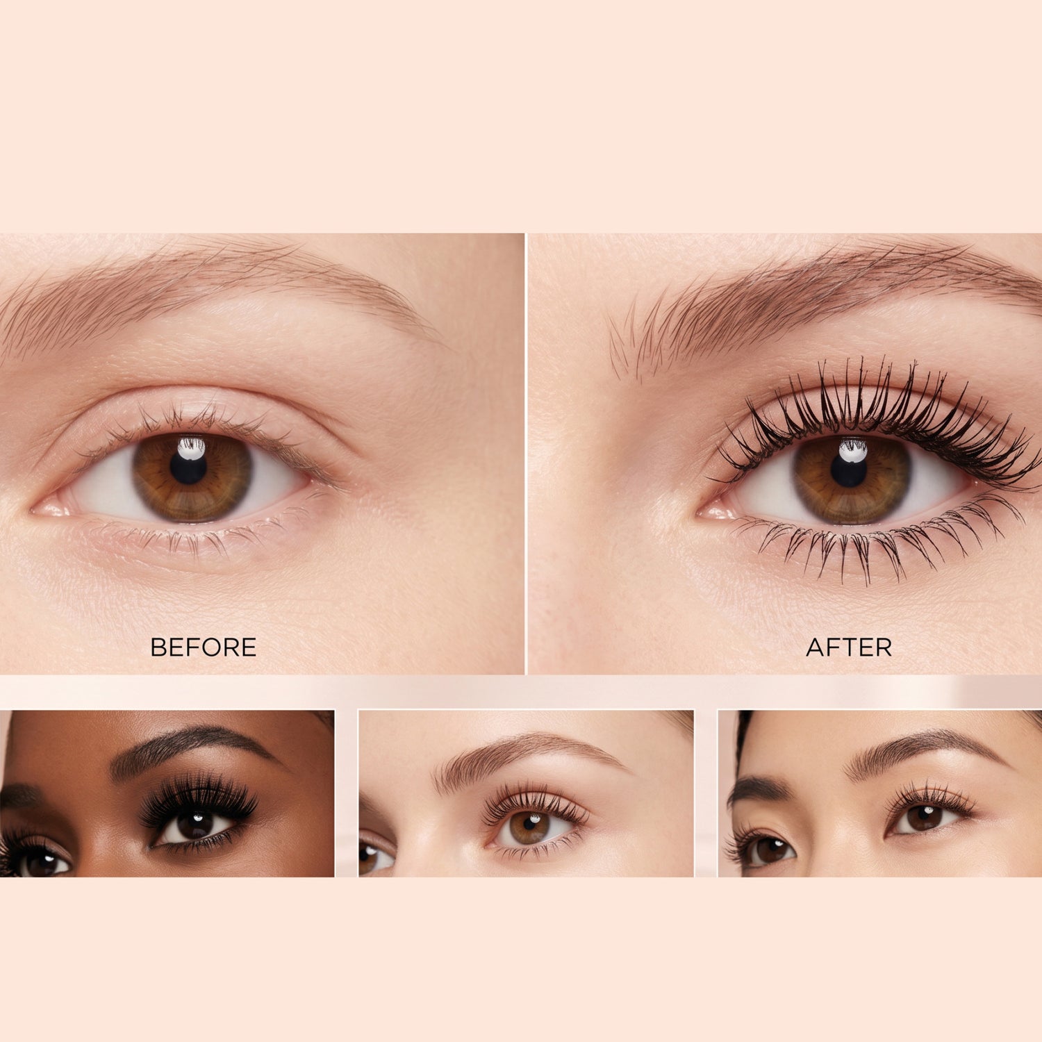 LASH & BROW POWER